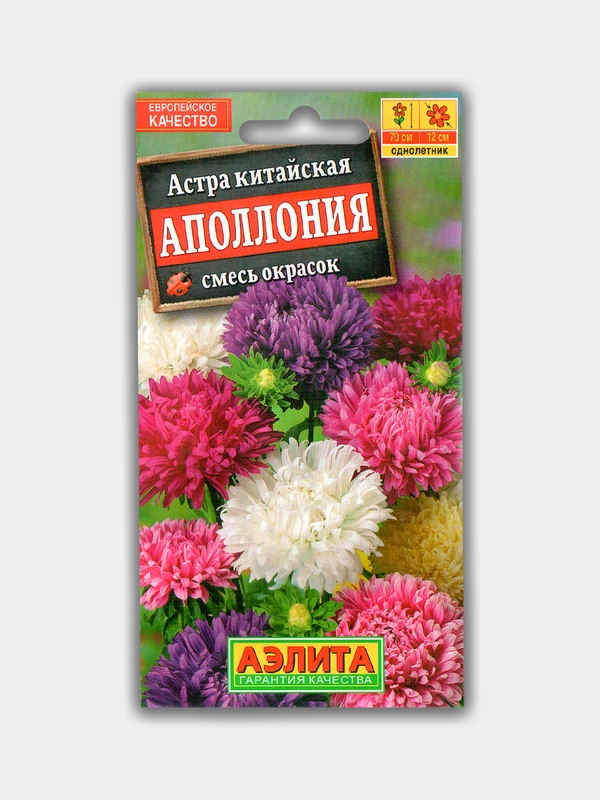 Астра Аполлония смесь (семена)