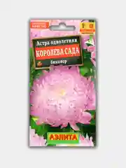 Астра Королева Сада Биколор (семена)