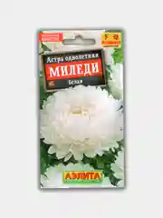 Астра "Миледи Белая", семена