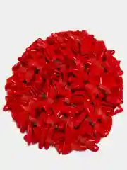Красный мягкие коготки для кошек. Антицарапки, 20 шт. + 1 клей