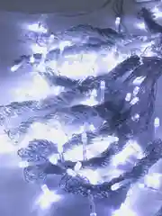 Электрическая новогодняя светодиодная гирлянда штора 3*3 метра