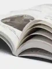 История, Сергей Кужель