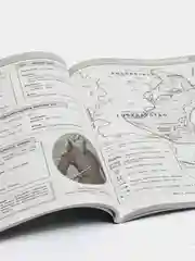 История, Сергей Кужель