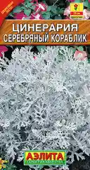 Семена Цинерария  Серебряный кораблик