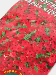 Сурфиния (петуния) Пурпурный шар (семена,цветы)