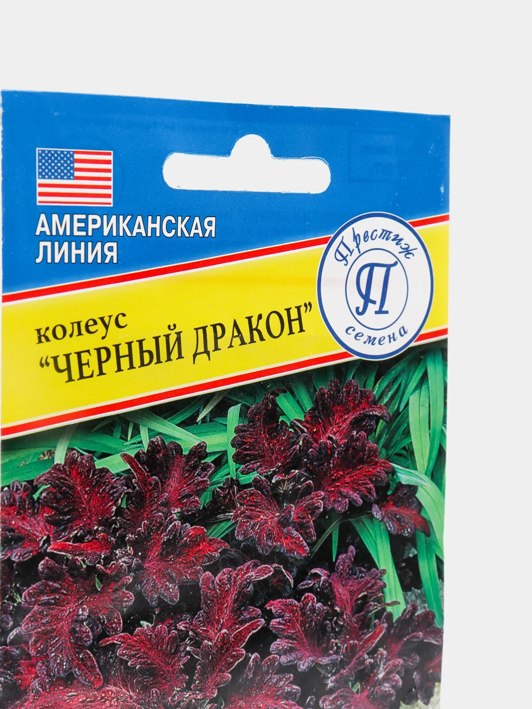 Семена цветов Колеус "Черный дракон", 10 штук