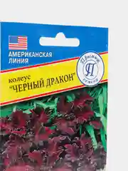 Семена цветов Колеус "Черный дракон", 10 штук