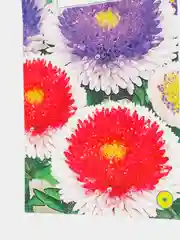 Семена цветов Астра Смесь Японская, 0,1 г