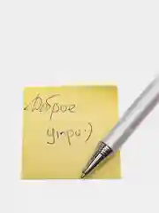 Ручка шариковая подарочная в футляре "Директор"