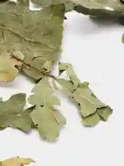 Запарка для бани