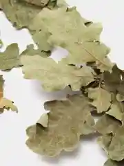 Запарка для бани