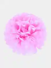 Розовый бумажные помпоны/Помпоны-цветы/Бумажные шары/Украшения для праздника