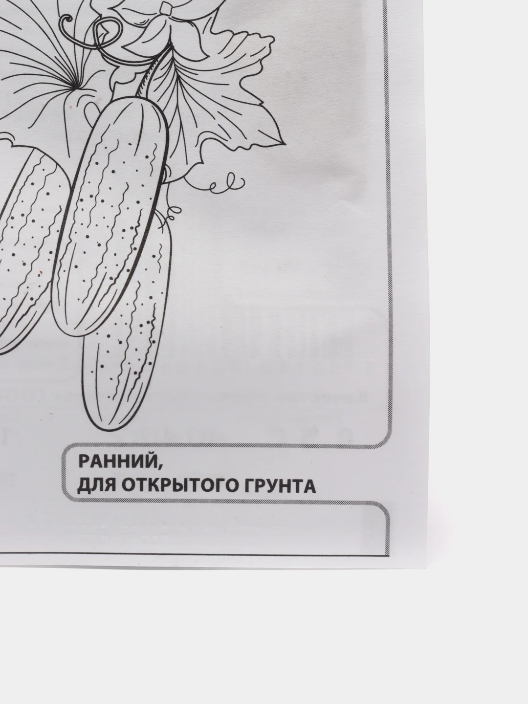 Семена Огурец "Вязниковский 37", 0,5 г