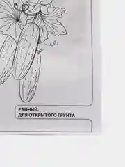Семена Огурец "Вязниковский 37", 0,5 г