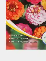 Семена цветов Цинния изящная карликовая смесь, О, 0,2-0,3 г