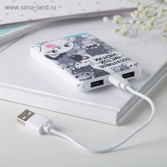 Портативный аккумулятор "1000 котиков чистой энергии", 5000 mAh, 2 USB-разъёма