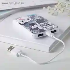 Портативный аккумулятор "1000 котиков чистой энергии", 5000 mAh, 2 USB-разъёма