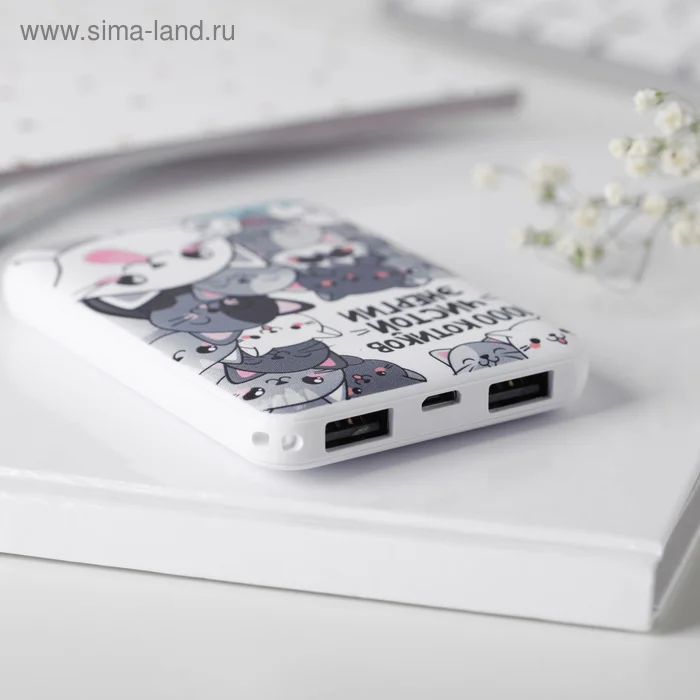 Портативный аккумулятор "1000 котиков чистой энергии", 5000 mAh, 2 USB-разъёма