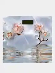 Весы напольные электронные, MAXTRONIC MAX-311