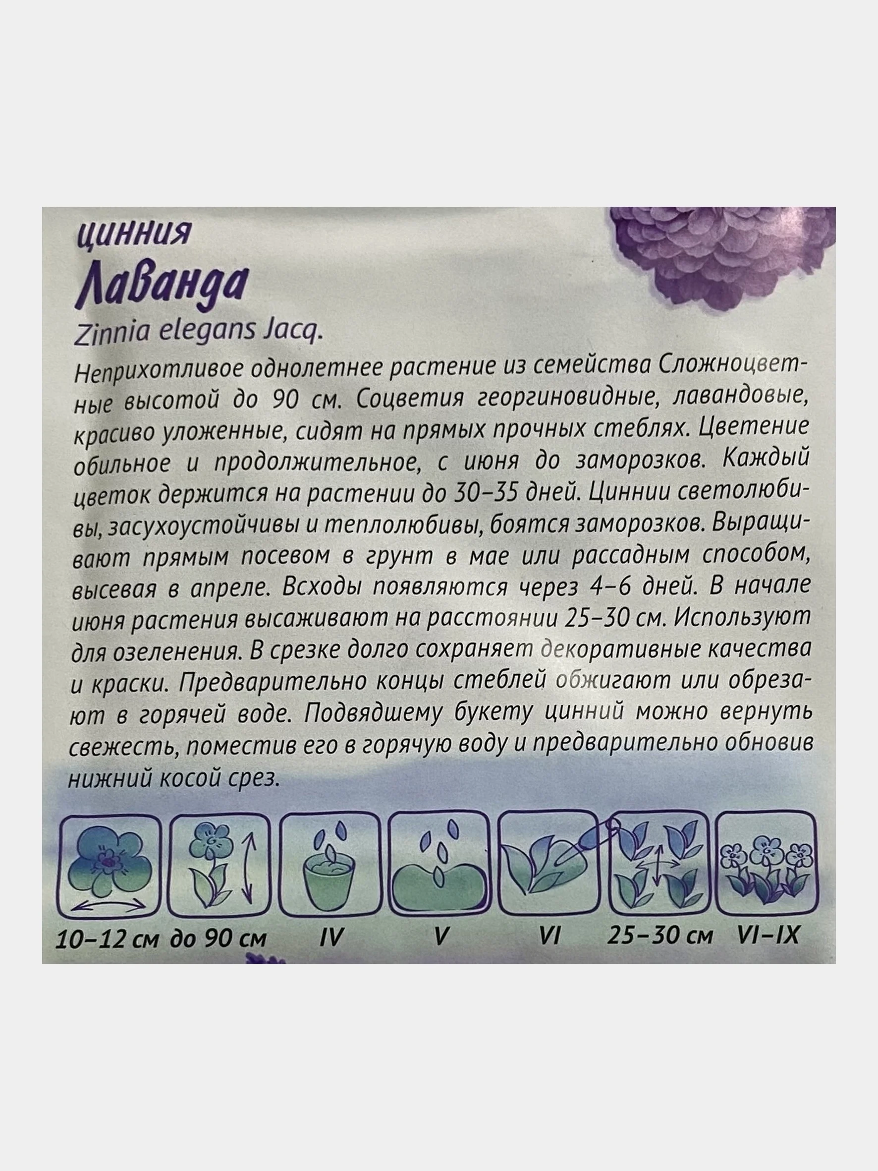 Семена цветов Цинния "Лаванда"