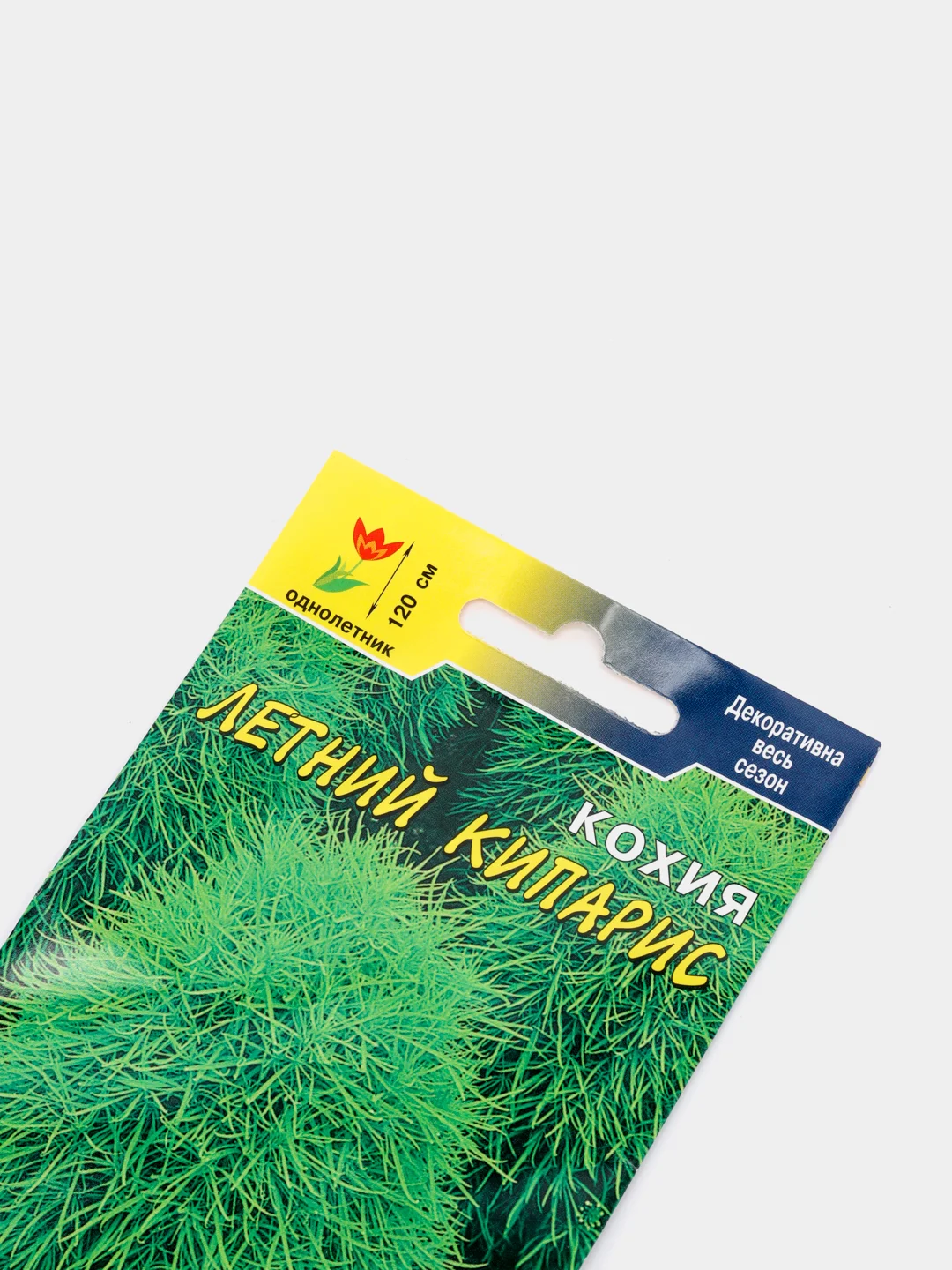 Семена цветы "Кохия Летний кипарис"