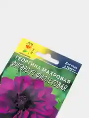Семена цветы "Георгина Фигаро фиолетовая"