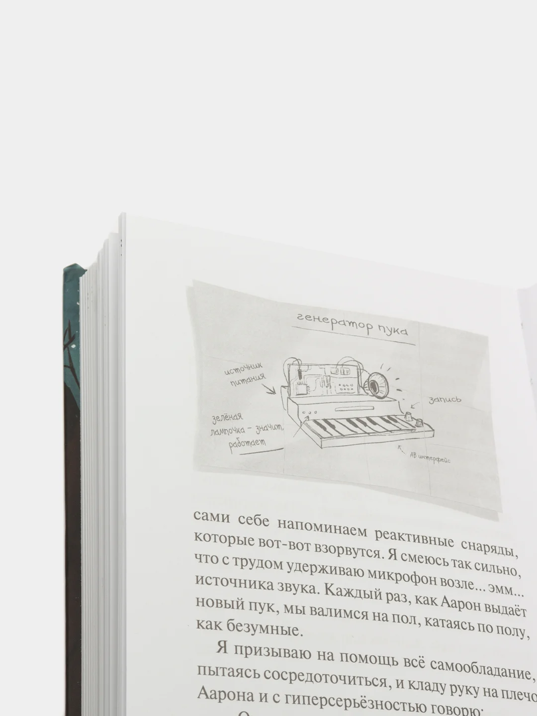 Отсутствующие фрагменты (#1), Карли Энн Уэст