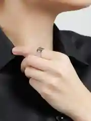 Серый кольца парные