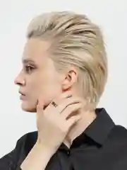 Серебряный кольца Парные