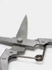 Ножницы для стрижки овец металлические
