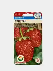 Земляника "Тристар", семена