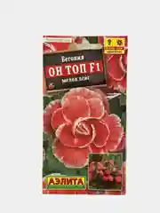 Бегония "Он топ мелон лейс", семена, цветы