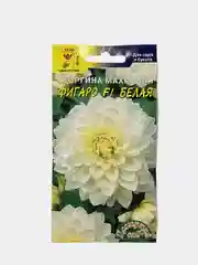 Георгина "Фигаро белая" (семена, цветы)