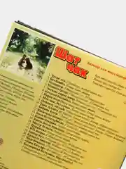 Песни на татарском "Шат чак: Гульзада", CD, MР3