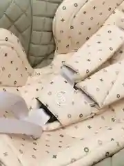 Бежевый автокресло "SKYLER V2" Happy Baby