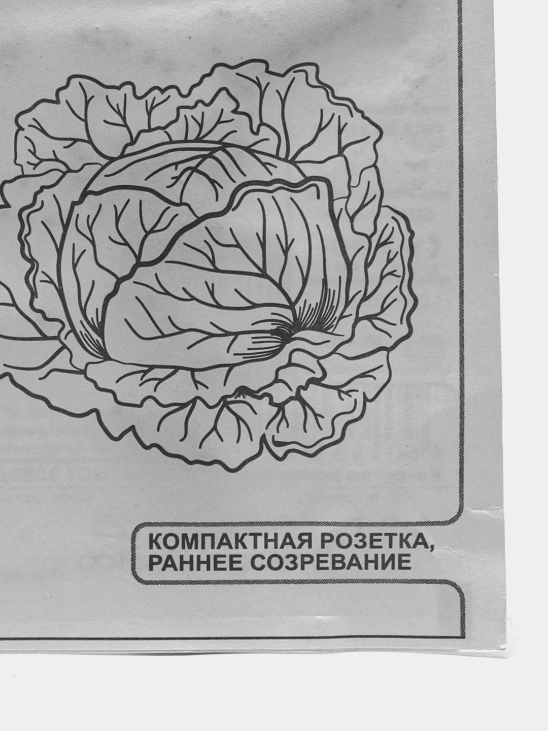 Семена Капуста белокочанная "Июньская", ранняя, 0,1 г