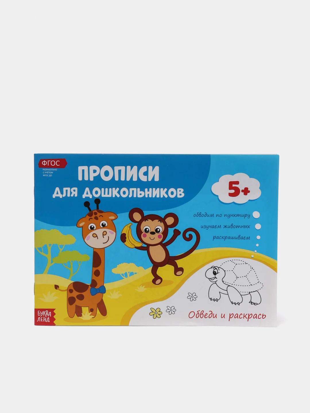 Голубой прописи для дошкольников, несколько видов по 16 стр (мега)