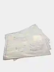 Пластиковый почтовый пакет, 250 х 353 мм