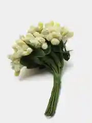 Светло-жёлтый тычинки с сахарными вставками 12 шт