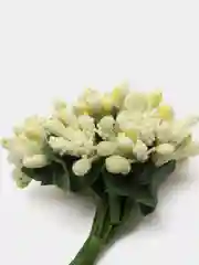 Светло-жёлтый тычинки с сахарными вставками 12 шт