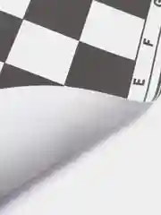Шашки и Нарды в тубусе + игровое поле