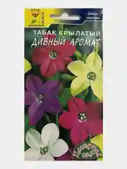Семена цветов табака крылатого "Дивный аромат"