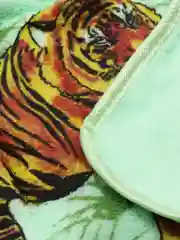 Зеленый салфетка из микрофибры