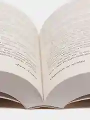 Странник по звездам, Лондон Д.