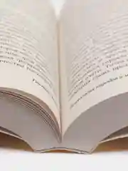 Психология народов и масс