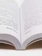 Демиан, Гессе Г.