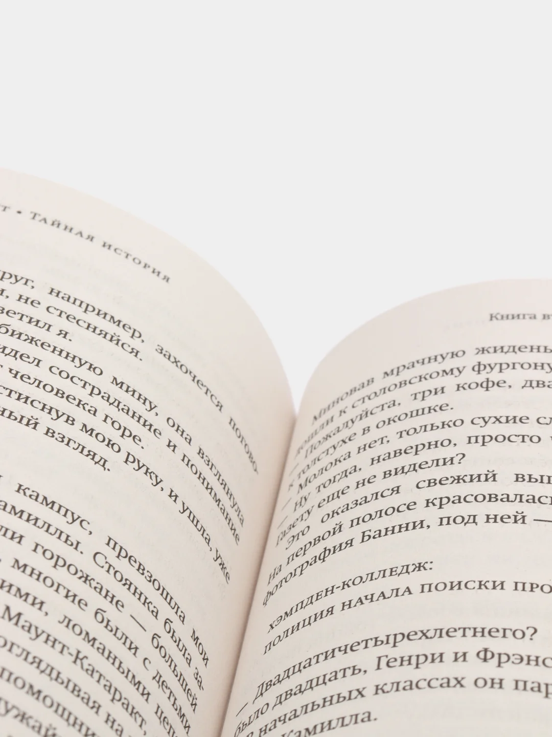Тайная история, Тартт Д.