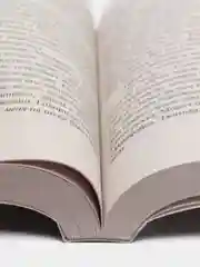 Долгая Прогулка, Кинг Стивен