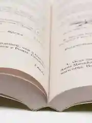 Математика. Большой сборник заданий для уроков и олимпиад с ответами. 1-4 классы