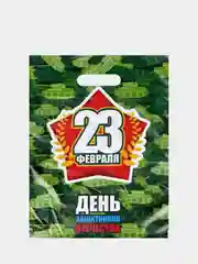 Зеленый пакет подарочный на 23 февраля